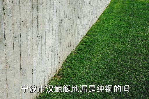  寧波市漢鯨艇地漏是純銅的嗎