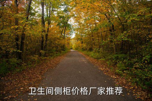 泰州歐式衛(wèi)浴柜代理點地址