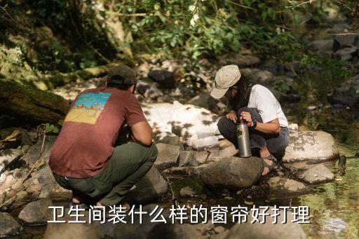 衛(wèi)生間裝什么樣的窗簾好打理
