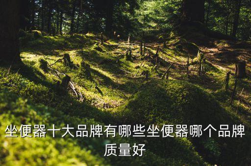 衛(wèi)浴品牌何老大,陶老大衛(wèi)浴怎么樣