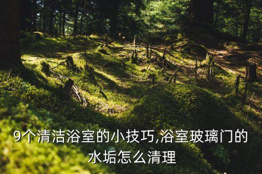 衛(wèi)浴水垢原因分析圖示圖片