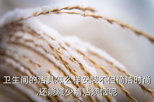 衛(wèi)生間的潔具怎么樣安裝不但簡(jiǎn)潔時(shí)尚,還能減少清潔煩惱呢