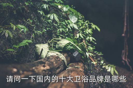 請問一下國內(nèi)的十大衛(wèi)浴品牌是哪些