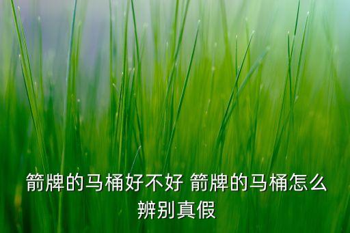  箭牌的馬桶好不好 箭牌的馬桶怎么 辨別真假