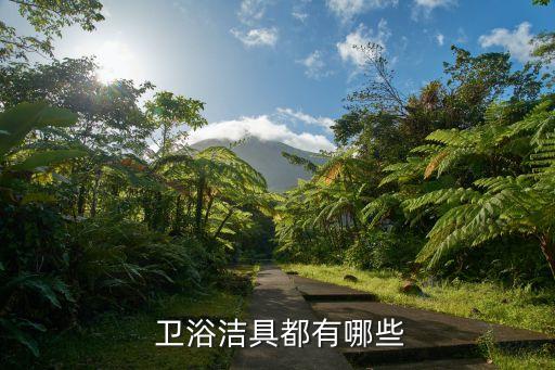  衛(wèi)浴潔具都有哪些