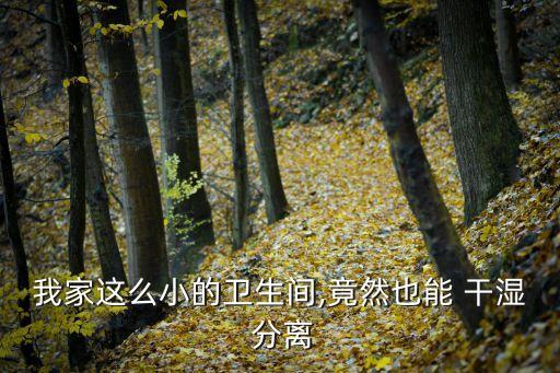 衛(wèi)浴店干濕分離圖片欣賞