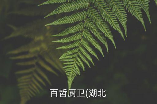 百哲廚衛(wèi)(湖北