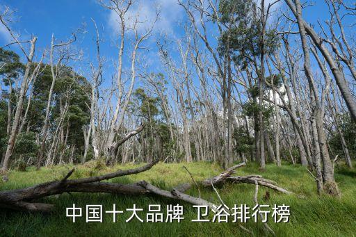 中國十大品牌 衛(wèi)浴排行榜