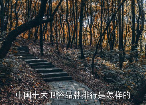 中國十大衛(wèi)浴品牌排行是怎樣的