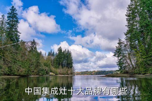 中國(guó)集成灶十大品牌有哪些