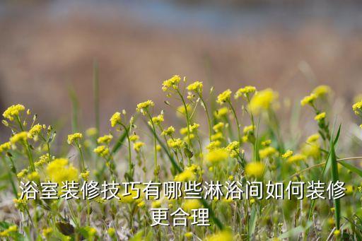 歐式浴室衛(wèi)浴鏡片圖片