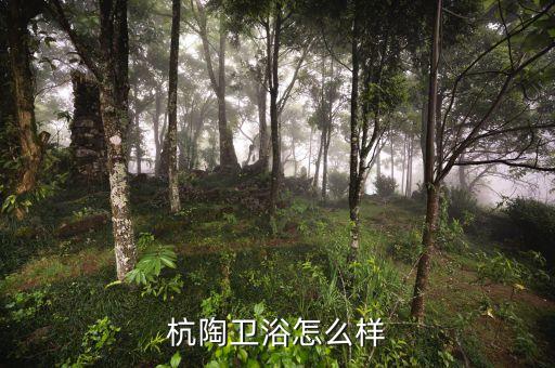 杭陶衛(wèi)浴怎么樣