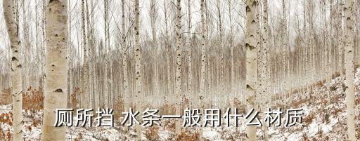 廁所擋 水條一般用什么材質(zhì)