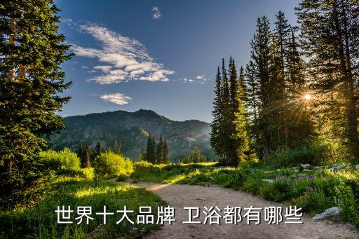 天津潔身衛(wèi)浴價格圖片