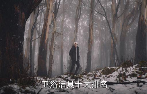 三友品牌衛(wèi)浴怎么樣,三友摩托車是品牌嗎怎么樣