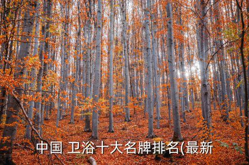 廁所白磚白色衛(wèi)浴品牌推薦