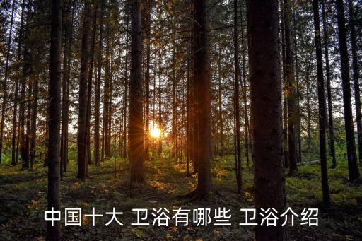 中國十大 衛(wèi)浴有哪些 衛(wèi)浴介紹