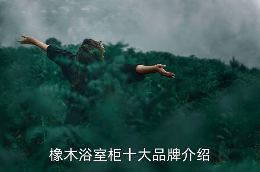 定制衛(wèi)浴柜有哪些品牌的,定制整體衛(wèi)浴包括哪些東西