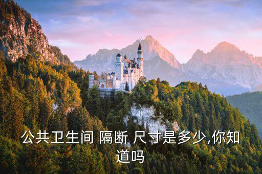 公共衛(wèi)生間 隔斷 尺寸是多少,你知道嗎