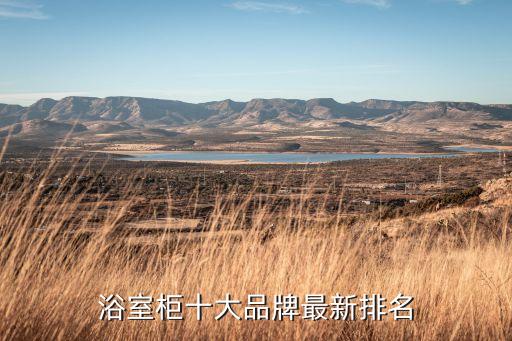 浴室柜十大品牌最新排名