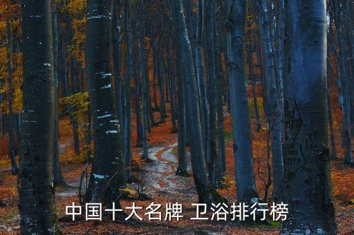 什么衛(wèi)浴品牌使用體驗(yàn)好,riifo什么衛(wèi)浴品牌