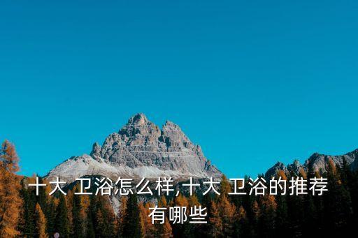 十大 衛(wèi)浴怎么樣,十大 衛(wèi)浴的推薦有哪些