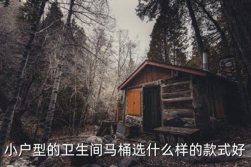 出租房用什么衛(wèi)浴好呢圖片