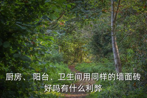廚房、 陽臺、衛(wèi)生間用同樣的墻面磚好嗎有什么利弊