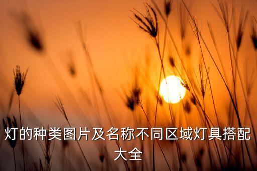 燈飾衛(wèi)浴展架圖片大全新款,衛(wèi)浴馬桶展架圖片大全