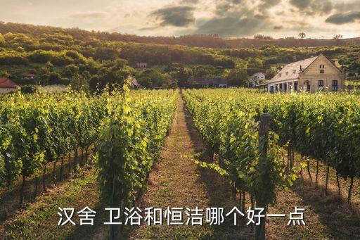  漢舍 衛(wèi)浴和恒潔哪個(gè)好一點(diǎn)