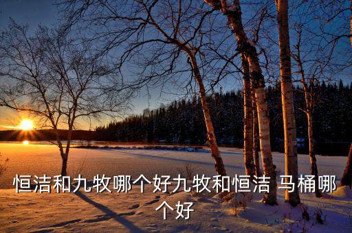 馬桶品牌佳選恒潔衛(wèi)浴好,品牌馬桶哪家好