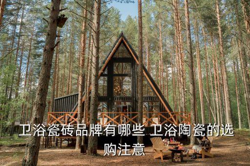  衛(wèi)浴瓷磚品牌有哪些 衛(wèi)浴陶瓷的選購(gòu)注意