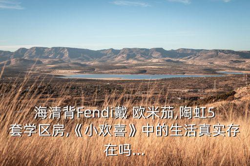 海清背Fendi戴 歐米茄,陶虹5套學區(qū)房,《小歡喜》中的生活真實存在嗎...