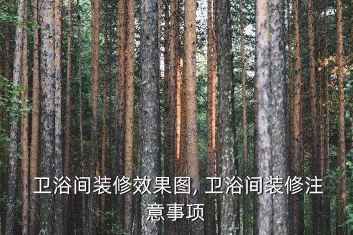  衛(wèi)浴間裝修效果圖, 衛(wèi)浴間裝修注意事項(xiàng)