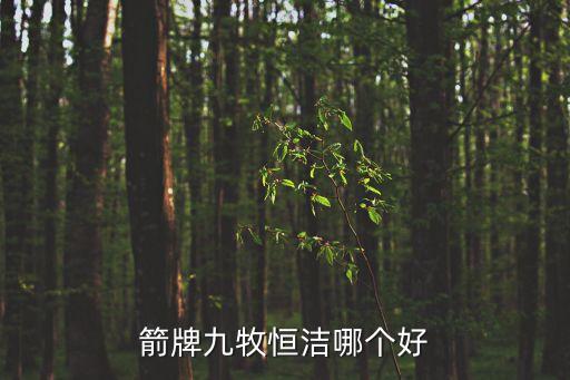 箭牌九牧恒潔哪個好