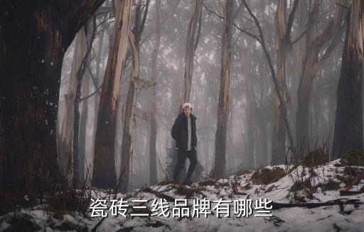 威廉頓衛(wèi)浴是幾線品牌