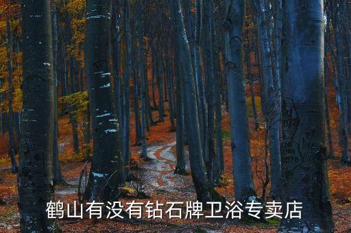 鶴山有沒有鉆石牌衛(wèi)浴專賣店