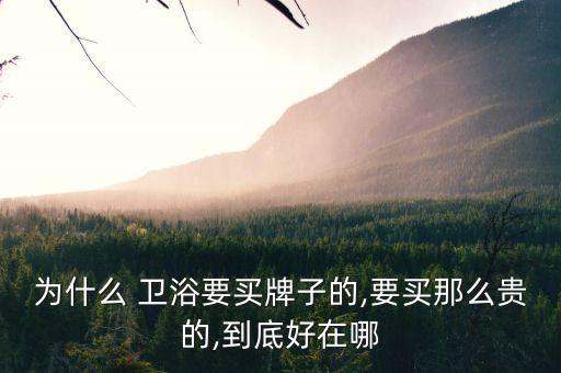 為什么 衛(wèi)浴要買牌子的,要買那么貴的,到底好在哪