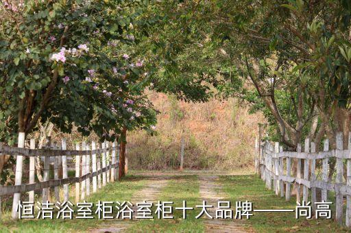 恒潔浴室柜浴室柜十大品牌——尚高