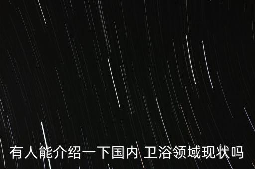 有人能介紹一下國內(nèi) 衛(wèi)浴領(lǐng)域現(xiàn)狀嗎
