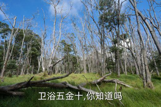 衛(wèi)浴五金十,你知道嗎