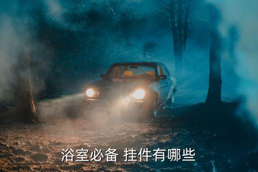 浴室必備 掛件有哪些
