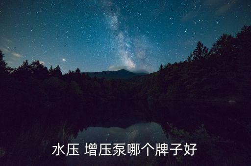 水壓 增壓泵哪個(gè)牌子好
