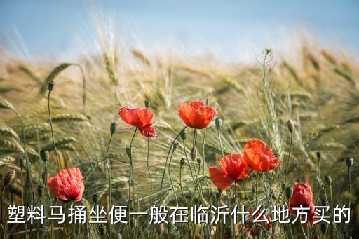 平陽市衛(wèi)浴潔具批發(fā)商地址