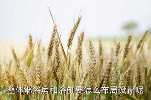 天津遙控衛(wèi)浴結(jié)構(gòu)圖片