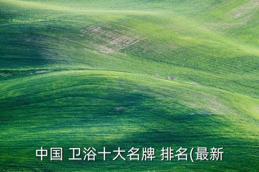 廣東衛(wèi)浴排名前十的品牌,衛(wèi)浴暖風(fēng)排名前十的品牌有哪些