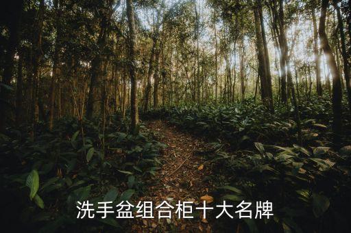 洗手盆組合柜十大名牌