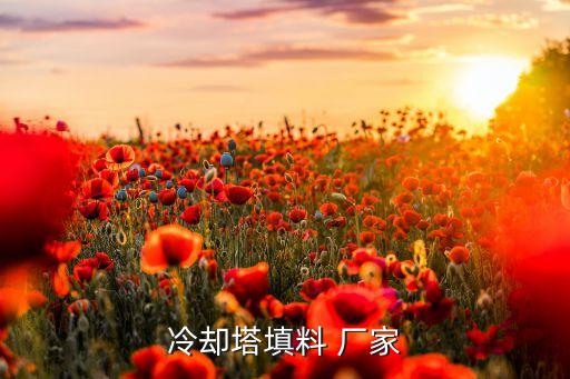 冷卻塔填料 廠家