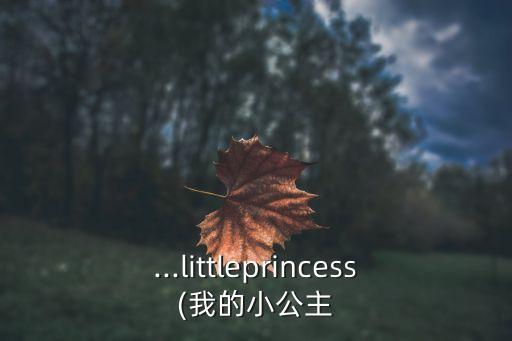 ...littleprincess(我的小公主