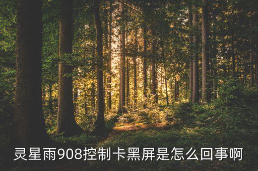 靈星雨908控制卡黑屏是怎么回事啊